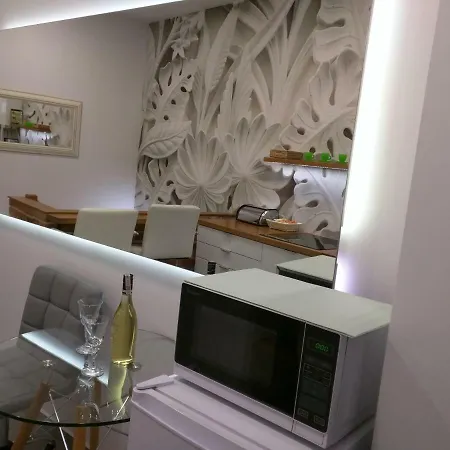 Apartment Starowislna