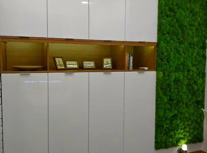 Starowislna شقة كراكوفيا