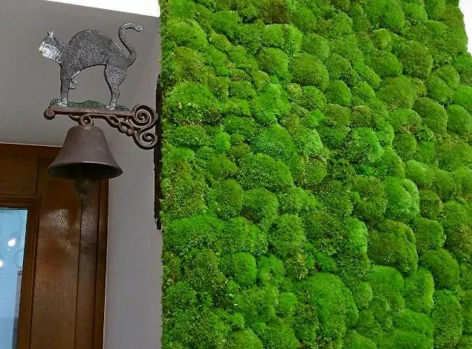 Starowislna كراكوفيا