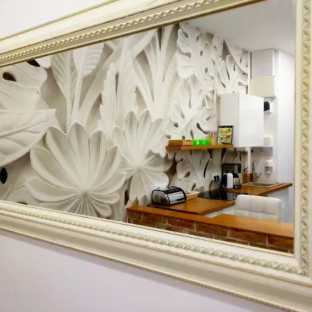 Starowislna 아파트 *