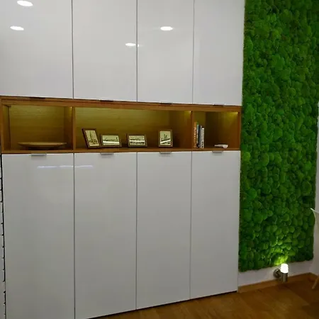 Starowislna 아파트 크라쿠프